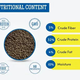 Foodie Puppies Optimum Betta Fish Food (20 gm) (Pack of 2) with Free Key Ring image 2