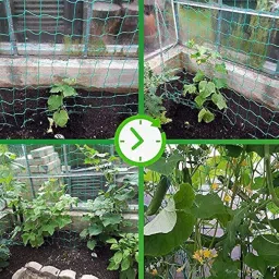 AMZ SPORTS NETS Nylon Garden Plant Creeper Netting | Plant Support Netting | Garden Netting With Square Mesh For Climbing Plants, Vegetables, Fruits, And Flowers | Heavy-Duty (6Ftx10Ft),Green image 1