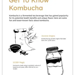 SBOOCH - Indian Sparkling Kombucha Tea | Rasam Flavor |275ml Pack of 3| Gut-Friendly Beverage | Antioxidant-Rich Zero Preservatives | Alcohol-Free Fermented Tea | Vegan & Gluten-Free image 2