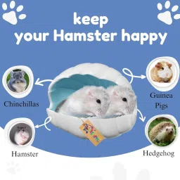 Western Era Hamster Ceramic Hideout House, Pearl Shell Shaped Cage Accessory | Cool Sleeping Hut for Hamsters, Gerbils, Mice | Shelter | Ventilated, Cute Design | Stress Relief House for Small Pet image 5