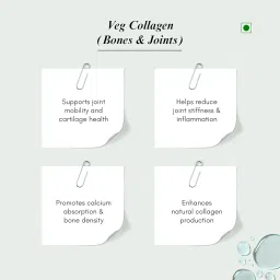 Weoliv Veg Collagen for Men and Women Supports Bones & Joints Health | Peptitde with Glucosamine, Hyaluronic Acid, Calcium & Vitamin D2 | Plant-Based | Orange Flavor |10g Serve | 200g Pack image 3