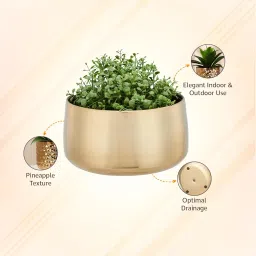 amazon basics Metal Planter Pot | Suitable for Living Room/Home Décor/Terrace/Balcony & Home Gardening (Gold) image 3