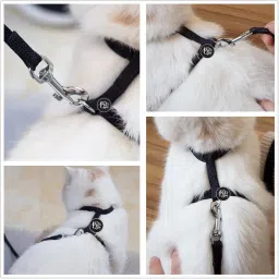 Cat Harness Leash Set for Cats & Kittens, 45 Inches Black image 2