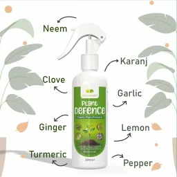 GREENFINITY Plant Defence Neem Oil Spray 200ML For Indoor & Outdoor Plants|Fortified With 7 Effective Essential Oils | Removes Mealybugs, Wide Range Of Garden Pests & Fungus | 200 ml image 1