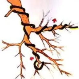 100ft Aluminium Wire for Bonsai Craft Model Making (1mm 1.5mm 2mm-33ft each) image 4