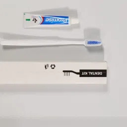 Dental Kit Pack of 100, 1 Toothbrush & 10g Promise Toothpaste | Disposable Travel Kit | | Individually Wrapped | Hotels and Vacation Rentals image 1