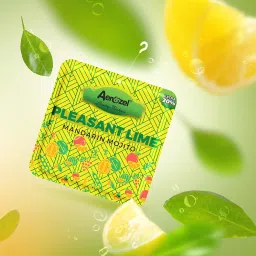 Aerozel Hanging Pocket Freshener | Flavor Pleasant Lime | Pack of 3 | Lasts 3-4 weeks image 1