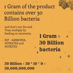 NITRIFYING Bacteria - Aquarium Conditioner - for Clean and Odourless Aquariums (5 Grams (Pack of 1)) image 3