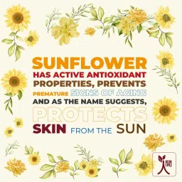 Ningen Sunflower Sunscreen SPF 30 I For all Skin Types (100g) | Goodness of Wheat Germ, Liquorice and Geranium I No White Cast, Water Resistant, Broad Spectrum Protection I Irritation & Praben Free image 2