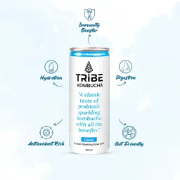 Tribe Kombucha | Weight Management - Detox - Antioxidant | Naturally Sparkling Probiotic Herbal Tea |Green Tea with Herbs & Spices | Gut Friendly | Gluten free | Classic | Pack of 7 |250 ML image 5