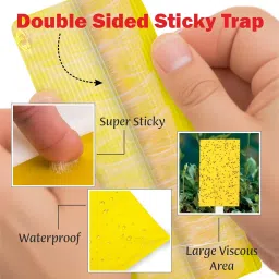 Garden Genie Yellow Sticky Trap for Insects 10 Traps (150x200mm) | Double Sided Glue Trap/Fly Trap/Insect Catcher/Sticky Pads for Flying Insects, Thrips, White Flies Etc | Suitable for Gardens & Farms image 2