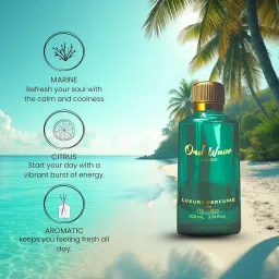 MissBliss Oud Wave Eau de Parfum 100ml – Long Lasting Unisex Fragrance | Fresh, Invigorating Scent with Marine, Citrus, Oud & Musk Notes | EDP for Gift image 3
