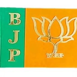 DASHDYNAMO BJP Party Car Bonnet Flag - Professional Quality Rectangle Flag With Rod image 1