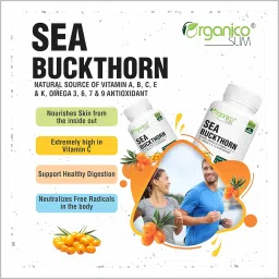 Organicoslim Himalaya Sea buckthorn Berry Extract Antioxidant Supplement and Immunity Booster Veg Supplement, Supports Digestions, Cardiovascular Health & Liver Detox (Pack of 1, 60 Capsules) image 1