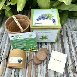 Sow and Grow Seed Starter Grow Kit of Lavender Flower || for temperatures 15-25 Degrees || DIY Easy Grow it Yourself Gardening Kit for Home and Garden || A Complete Beginner Gardeners Gardening Set image 1
