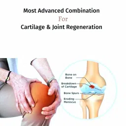 Regenflex C2 ( UC II ) Type 2 Collagen, With Hyaluronic acid, Rosehip Extract, Boswellia Serrata, Curcumin, Devils Claw & Astaxanthin | Joint & Cartilage Repair Supplement | 30 Tab image 5
