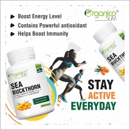 Organicoslim Himalaya Sea buckthorn Berry Extract Antioxidant Supplement and Immunity Booster Veg Supplement, Supports Digestions, Cardiovascular Health & Liver Detox (Pack of 1, 60 Capsules) image 2