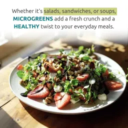 Nurturing Green® DIY Microgreens Kit | Radish & Mustard Seeds | Grow Healthy Greens image 2