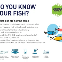 Muscle Nectar (MN) Omega 3 Fish Oil Triple Strength 2500mg for Men & Women - Molecularly Distilled (1500mg EPA/DHA) (120 Soft gels) image 1