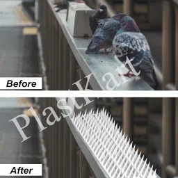 PlastKart Pigeon Spikes (Pack of 5) Anti Bird Control for Balcony, Railing, Home Window Protection from Pigeon, Dog, Monkey, Crow, Kabootar, Split AC, Spikes with Double Sided Tape (White) image 3