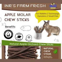 Apple Molar Sticks for Small Animals Chinchilla Guinea Pig Hamster Rabbit Gerbil Parrot Bunny and Small Animals Chew Stick Treats (100g) image 1