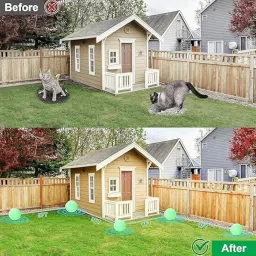 Cat Deterrent Outdoor Dog Deterrent Natural Peppermint Oil Cat Repellent Outdoor and Indoor Against Scratch and Chew Furniture Curtain Family Safe, Dog Repellent to Keep Feral Cats Dogs Out of Yard Garden (10 count (Pack of 1)) image 5
