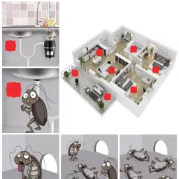 XLENTAG Cockroach Roach Killing Bait, Roach Bait Station For Large Roaches, Kills The Nest, Child-Resistant, 6 Count,Insects, Indoor/Outdoor (2) image 4