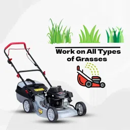 BKR® Heavy Duty 19" Lawn Mower with GXV 160 Engine, 5 HP 4-Stroke, Tough Aluminium Deck, Adjustable Height, Detachable Collection Box image 4