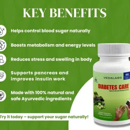 Vedalabs Diabetes Care – Herbal Blood Sugar Support Supplement – 750mg, 60 Veg Capsules – Supports Glucose Levels, Insulin Function & Energy – Strong Ayurvedic Formula image 3