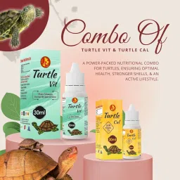 Sage Square Pet Care International Turtle VIT & Cal Drop | Supports Strong Shell & Bone Health | Essential Vitamin, Mineral & Calcium for Growth & Wellness | Complete Turtle Healthcare (30ml) image 1