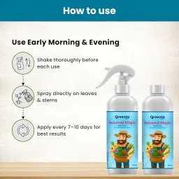 Greento Plant Tonic Seaweed Spray Ready-to-Use – 400ml | Organic Liquid Seaweed Extract for Plants | Boosts Growth, Root Development, Immunity & Flowering | For Indoor & Outdoor Plants image 3