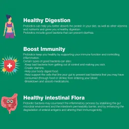 Probiotics 30 Billion CFU for Gut Health - 16 Strains, Prebiotics, Immunity, and Digestive Support - 120 Vegetarian Capsules for Men & Women image 3