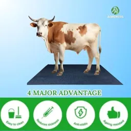 M.R.F Premium Waterproof Rubber Mat for Cow, Buffalo, and Horse – 30mm Thick ||8X5 FEET Size|| Non Slliippery Surface (8X5 Foot) image 3