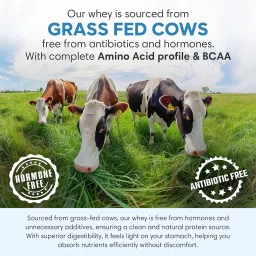 Foodstrong Whey Protein Isolate, 100% Hormone Free Grass-Fed Whey, 27G Protein & 6.6G BCAA, Chocolate, With Turmeric & Digestive Enzymes, 6 Sachets, 210G image 1