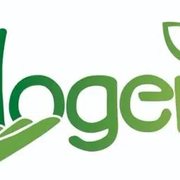 Flogeria Original Crassula Ovata Good Luck jade Plant | Kuberakshi Vastu Plant with 4" Self-Watering Pot | for Home & Office | Live Indoor Plant for Gifting & Green Décor image 3