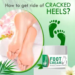 Aatmam Ayurveda Foot Cream | Natural Healing Balm for Cracked Heels and Dry Skin | Enriched with Aloe Vera and Herbal Extracts (50g) image 1