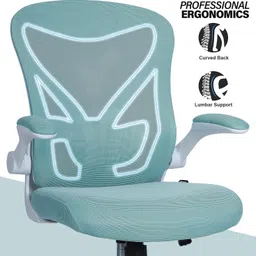 drogo Ergonomic Office Chair for Work from Home Computer Chair with Adjustable Seat Mesh Office Executive Chair image 4