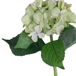 Pure Home and Living White & Green Artificial Hydrangea Flower image 3