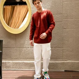 campus sutra Men Self Design Round Neck Brown Sweater image 4