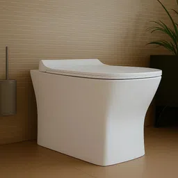 eden Lino /S TRAP 22.5cm OR 9inch/ Floo Mount/ 51*35*39cm/ 20*14*16inch/Floor Mount/ EWCs / Western Commode-picture-21
