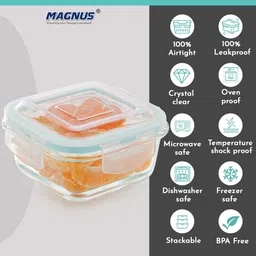 magnus Glass Food Container Square 1 Containers Lunch Box image 4