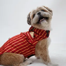 pawgy Tuxedo for Dog, Cat image 4