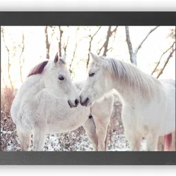 Wood Wall Photo Frame-image-17