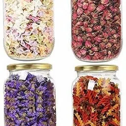 tinsuhg Spice Set Glass image 5