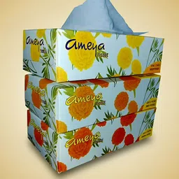 ameya Facial tissue paper- ultra soft & gentle 2ply 3 box(100) image 1