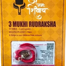 robin export company 3 Mukhi Nepali Rudraksha three face With tab tested Certificate Beads Sterling Silver Plated Rudraksha Chain-picture-18