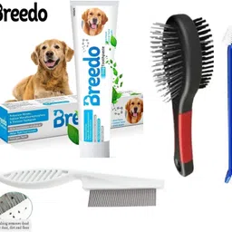 breedo (Combo of 4) Dog Toothpaste + Teeth Brush + Comb + Hair Brush For All Breed Dog Basic Comb for Dog & Cat, Dog, Monkey, Rabbit, Hamster-picture-10