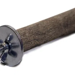 seva Climbing Perch Bird image 4