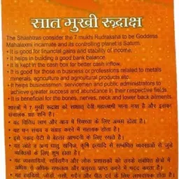 yashvriddhi 7 Mukhi Rudraksha With Lab Certified Wood Pendant image 2