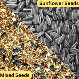 pripton 2 in 1 Bird Food Combo, Sunflower Seeds, Mixed Seeds for Bird (450g + 450g) Nuts 0.9 kg Dry Adult, Young, Senior, New Born Bird Food-picture-32